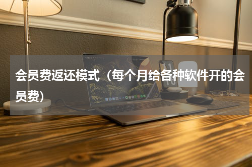 会员费返还模式（每个月给各种软件开的会员费）