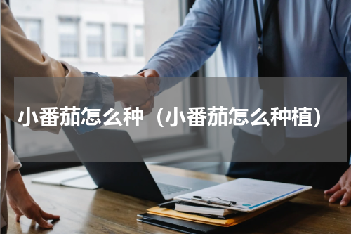 小番茄怎么种（小番茄怎么种植）