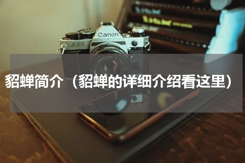 貂蝉简介（貂蝉的详细介绍看这里）