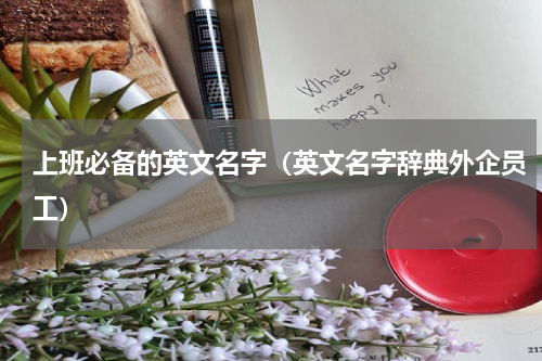 上班必备的英文名字（英文名字辞典外企员工）