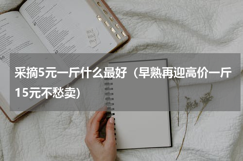 采摘5元一斤什么最好（早熟再迎高价一斤15元不愁卖）