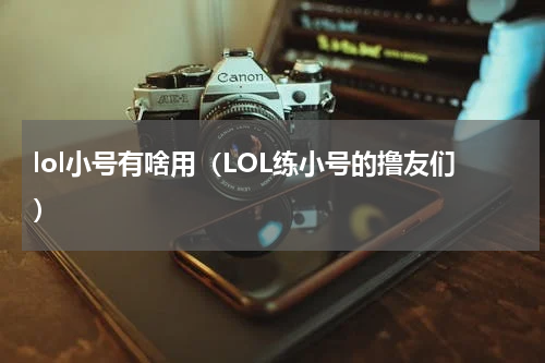 lol小号有啥用（LOL练小号的撸友们）