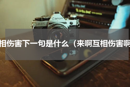 互相伤害下一句是什么（来啊互相伤害啊）