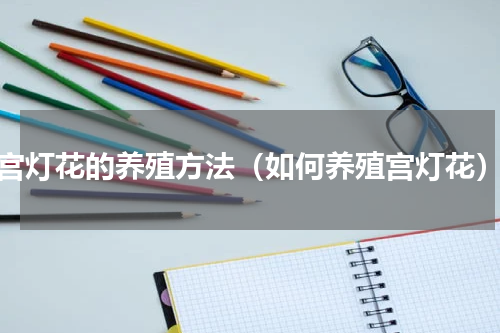 宫灯花的养殖方法（如何养殖宫灯花）