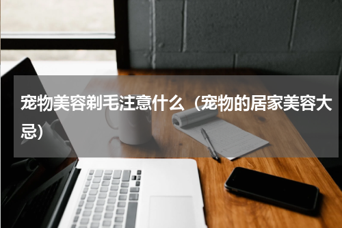 宠物美容剃毛注意什么（宠物的居家美容大忌）