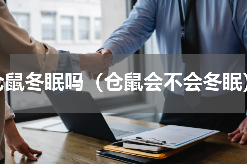 仓鼠冬眠吗（仓鼠会不会冬眠）