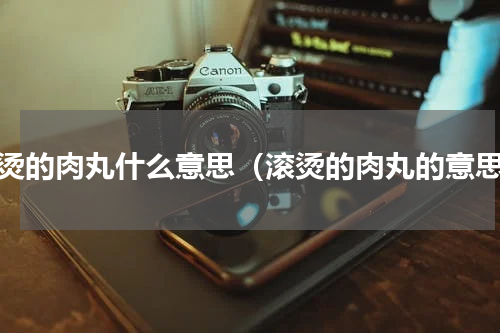 滚烫的肉丸什么意思（滚烫的肉丸的意思）