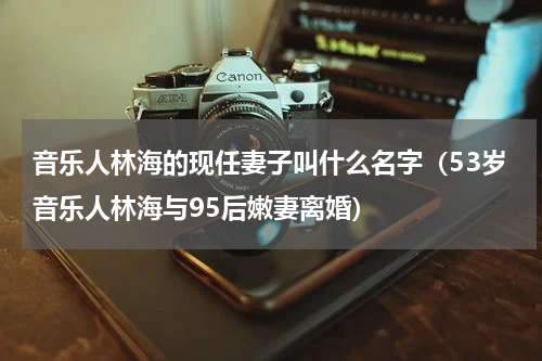 音乐人林海的现任妻子叫什么名字（53岁音乐人林海与95后嫩妻离婚）