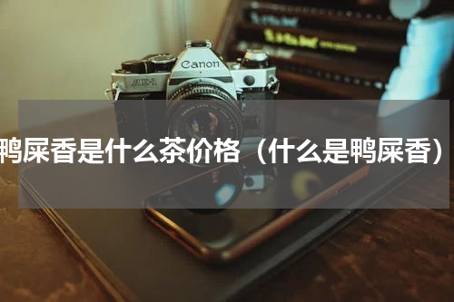 鸭屎香是什么茶价格（什么是鸭屎香）