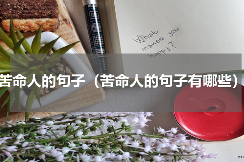 苦命人的句子（苦命人的句子有哪些）