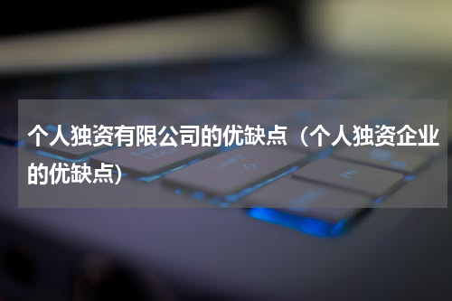 个人独资有限公司的优缺点（个人独资企业的优缺点）