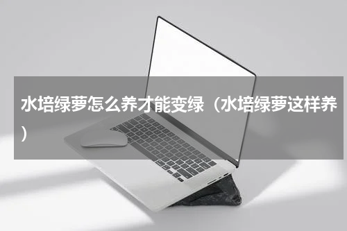 水培绿萝怎么养才能变绿（水培绿萝这样养）