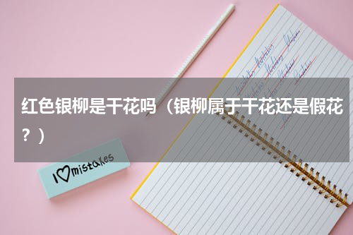 红色银柳是干花吗（银柳属于干花还是假花？）