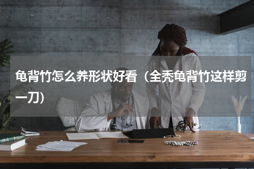 龟背竹怎么养形状好看（全秃龟背竹这样剪一刀）