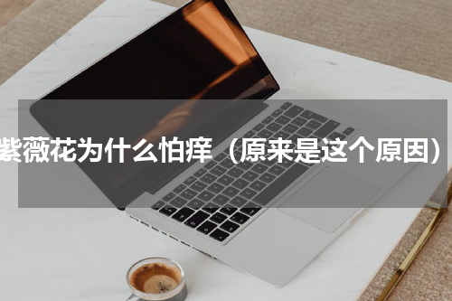 紫薇花为什么怕痒（原来是这个原因）