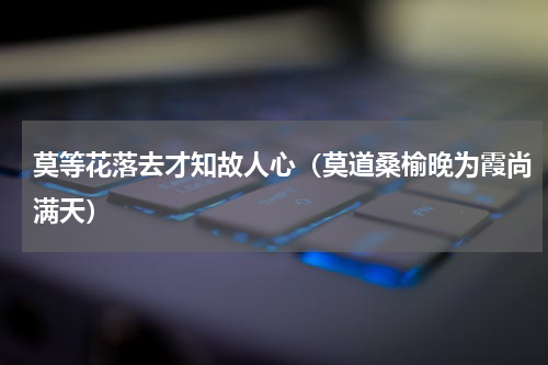 莫等花落去才知故人心（莫道桑榆晚为霞尚满天）