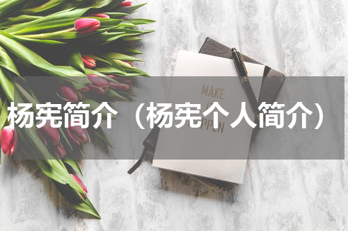 杨宪简介（杨宪个人简介）