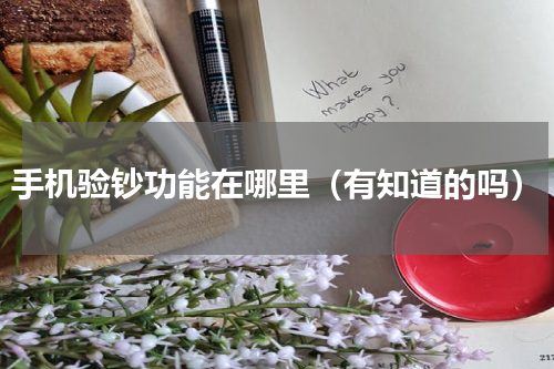 手机验钞功能在哪里（有知道的吗）