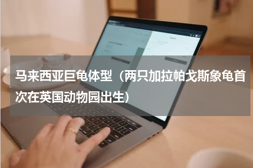 马来西亚巨龟体型（两只加拉帕戈斯象龟首次在英国动物园出生）