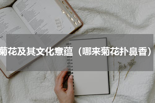 菊花及其文化意蕴（哪来菊花扑鼻香）