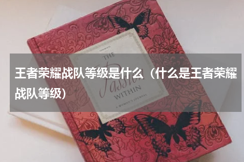 王者荣耀战队等级是什么（什么是王者荣耀战队等级）