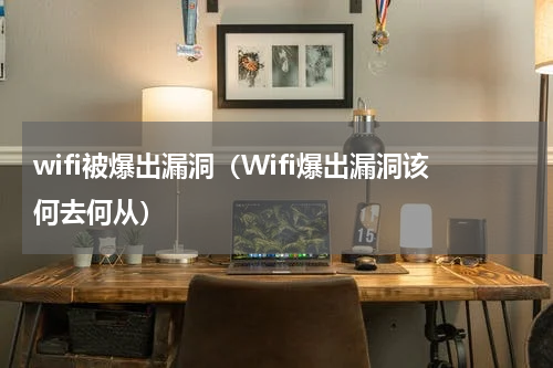 wifi被爆出漏洞（Wifi爆出漏洞该何去何从）