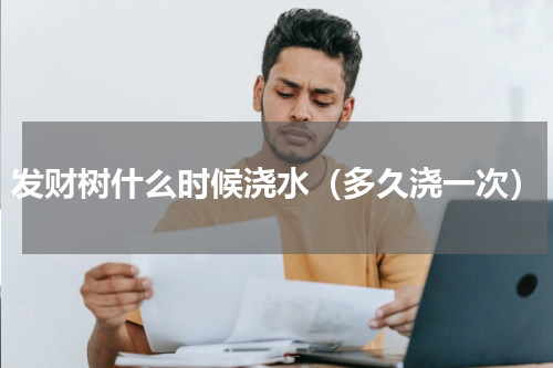 发财树什么时候浇水（多久浇一次）