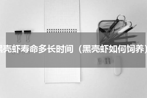 黑壳虾寿命多长时间（黑壳虾如何饲养）