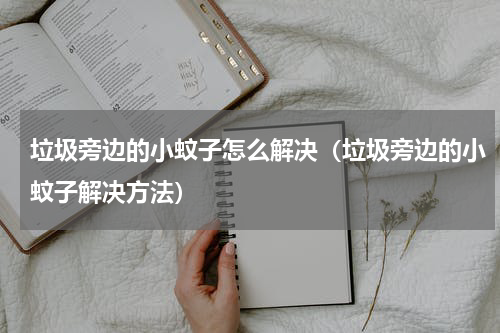 垃圾旁边的小蚊子怎么解决（垃圾旁边的小蚊子解决方法）