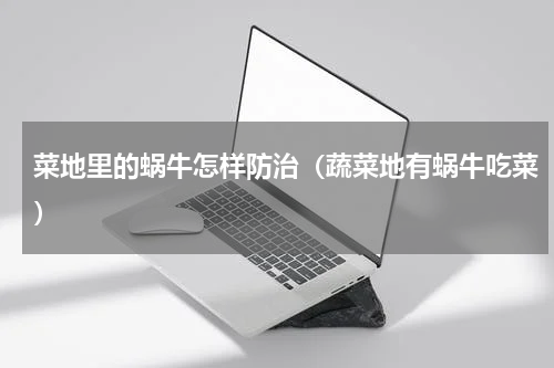 菜地里的蜗牛怎样防治（蔬菜地有蜗牛吃菜）