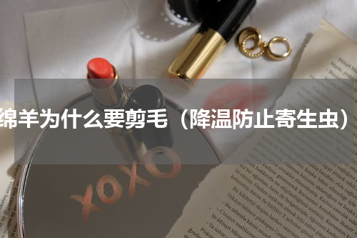 绵羊为什么要剪毛（降温防止寄生虫）