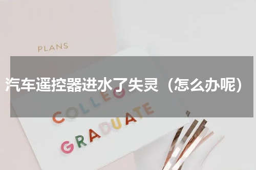 汽车遥控器进水了失灵（怎么办呢）