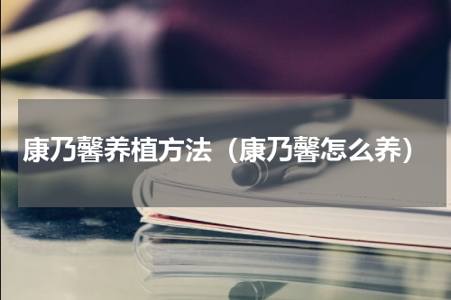 康乃馨养植方法（康乃馨怎么养）
