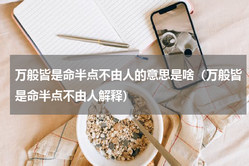 万般皆是命半点不由人的意思是啥（万般皆是命半点不由人解释）