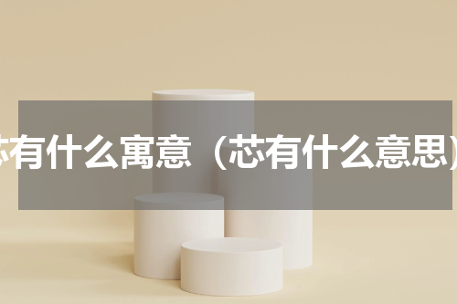芯有什么寓意（芯有什么意思）