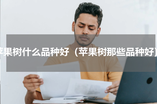 苹果树什么品种好（苹果树那些品种好）