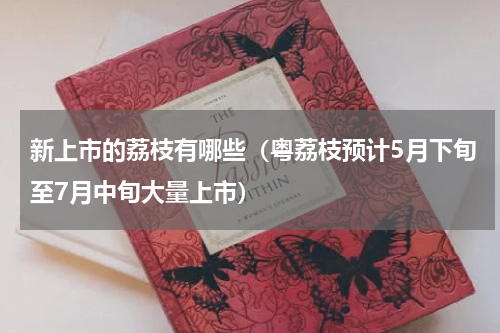 新上市的荔枝有哪些（粤荔枝预计5月下旬至7月中旬大量上市）