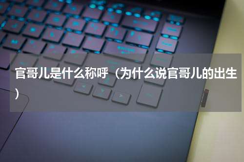 官哥儿是什么称呼（为什么说官哥儿的出生）