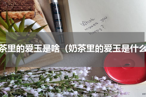 奶茶里的爱玉是啥（奶茶里的爱玉是什么）