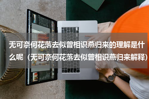 无可奈何花落去似曾相识燕归来的理解是什么呢（无可奈何花落去似曾相识燕归来解释）