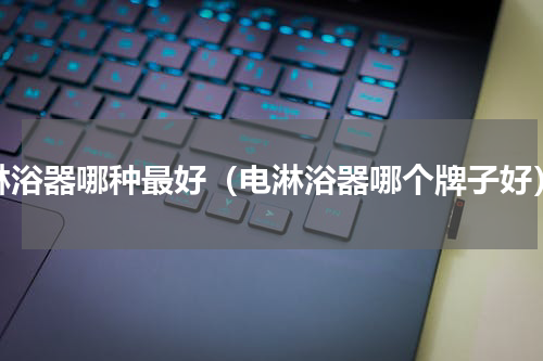 淋浴器哪种最好（电淋浴器哪个牌子好）