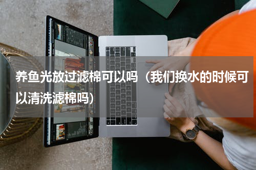 养鱼光放过滤棉可以吗（我们换水的时候可以清洗滤棉吗）