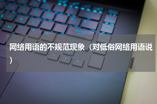 网络用语的不规范现象（对低俗网络用语说）