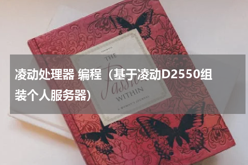 凌动处理器 编程（基于凌动D2550组装个人服务器）