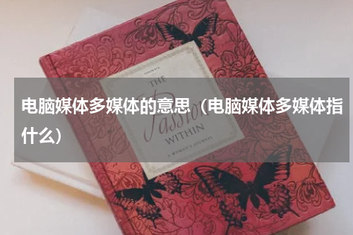 电脑媒体多媒体的意思（电脑媒体多媒体指什么）