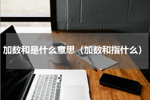 加数和是什么意思（加数和指什么）