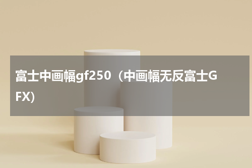 富士中画幅gf250（中画幅无反富士GFX）