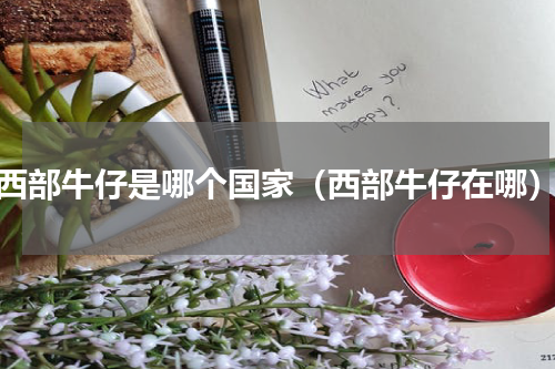 西部牛仔是哪个国家（西部牛仔在哪）