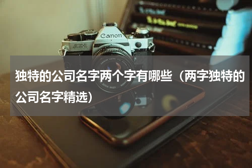 独特的公司名字两个字有哪些（两字独特的公司名字精选）