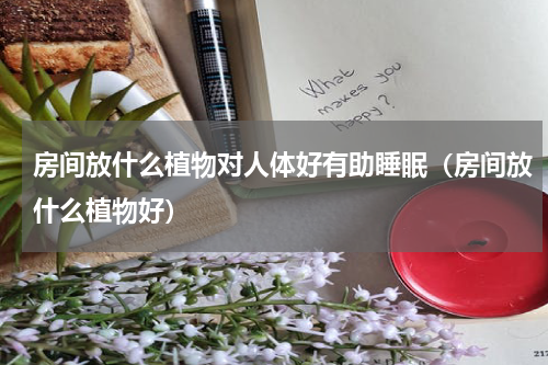 房间放什么植物对人体好有助睡眠（房间放什么植物好）